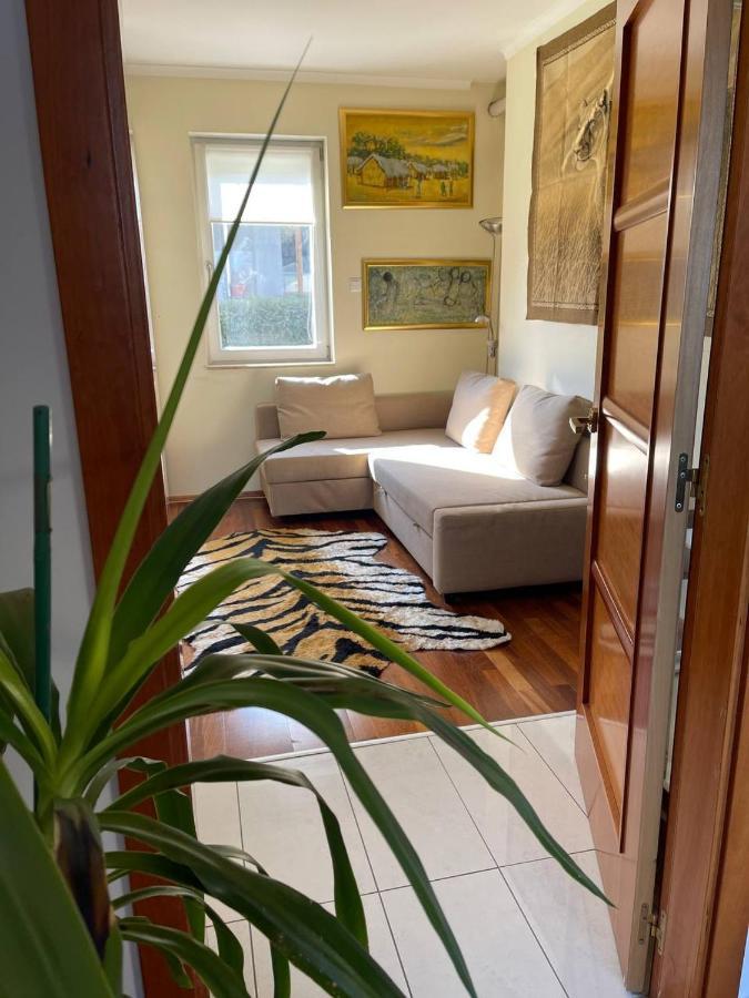 Rosehill Garden Family With A Great View Apartamento *