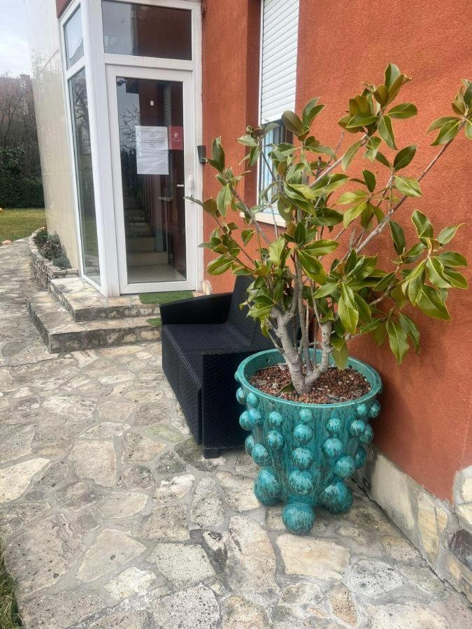 Appartamento Rosehill