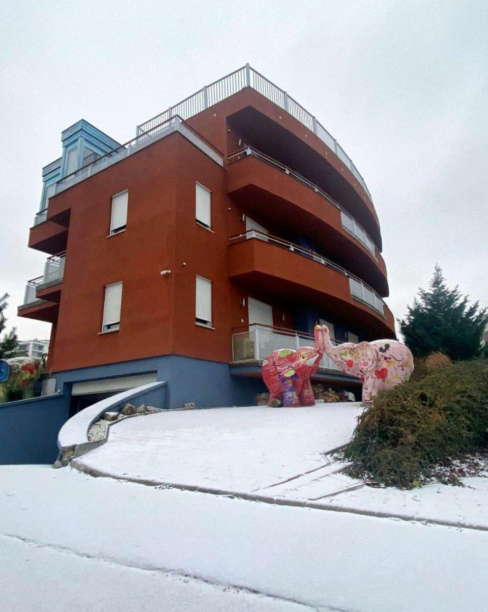 Appartamento Rosehill *